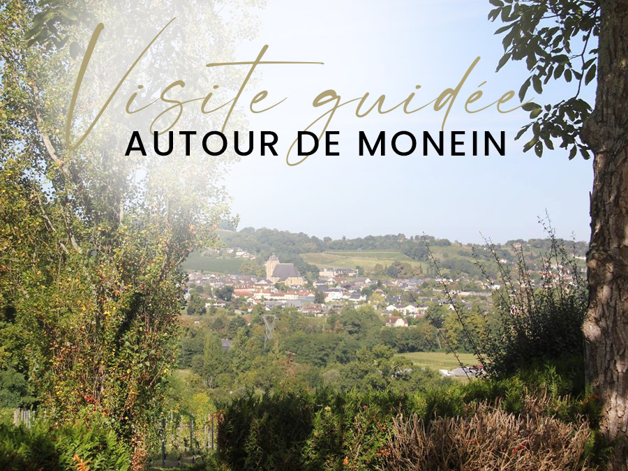 Visite guidée autour de Monein